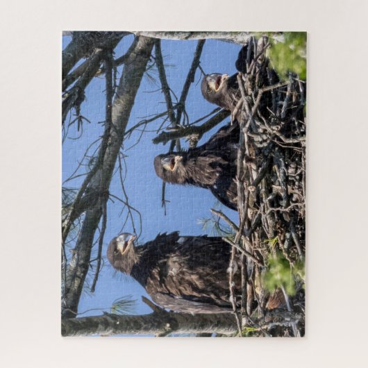 Drie dezelfde legpuzzel (Verticaal)
