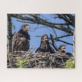 Drie dezelfde legpuzzel (Horizontaal)