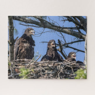 Drie dezelfde legpuzzel