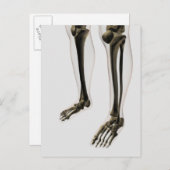 Drie dikke Uitzichten van de menselijke poot en vo Briefkaart (Voorkant / Achterkant)