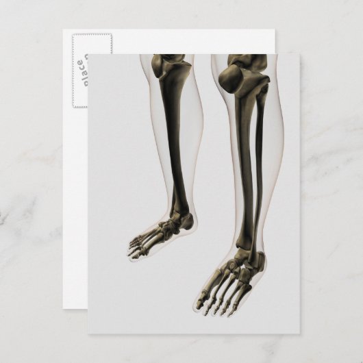 Drie dikke Uitzichten van de menselijke poot en vo Briefkaart (Voorkant / Achterkant)