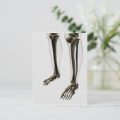 Drie dikke Uitzichten van de menselijke poot en vo Briefkaart (Staand voorkant)