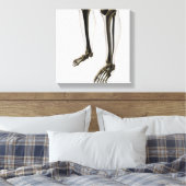 Drie dikke Uitzichten van de menselijke poot en vo Canvas Afdruk (Insitu (Slaapkamer))