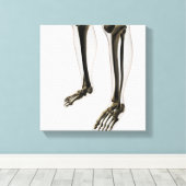 Drie dikke Uitzichten van de menselijke poot en vo Canvas Afdruk (Insitu (Houten vloer))