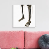 Drie dikke Uitzichten van de menselijke poot en vo Canvas Afdruk (Insitu (Woonkamer))