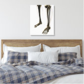 Drie dikke Uitzichten van de menselijke poot en vo Canvas Afdruk (Insitu (Slaapkamer))
