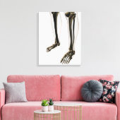 Drie dikke Uitzichten van de menselijke poot en vo Canvas Afdruk (Insitu (Woonkamer))