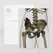 Drie dimensionale Uitzichten van Botten van de men Briefkaart (Voorkant / Achterkant)