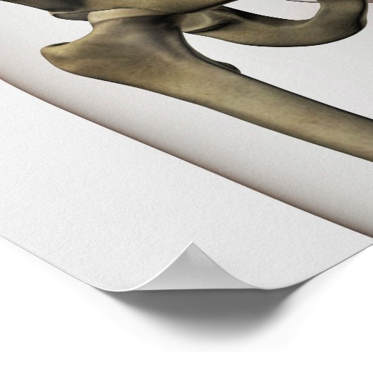 Drie dimensionale Uitzichten van Botten van de men Poster (Hoek)