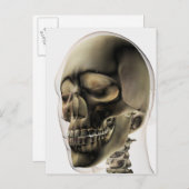 Drie dimensionale Uitzichten van de menselijke sch Briefkaart (Voorkant / Achterkant)