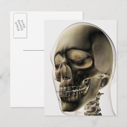 Drie dimensionale Uitzichten van de menselijke sch Briefkaart (Voorkant / Achterkant)