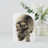 Drie dimensionale Uitzichten van de menselijke sch Briefkaart (Staand voorkant)