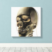 Drie dimensionale Uitzichten van de menselijke sch Canvas Afdruk (Insitu (Houten vloer))