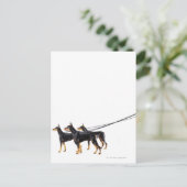 Drie Dobermans op de as Briefkaart (Staand voorkant)