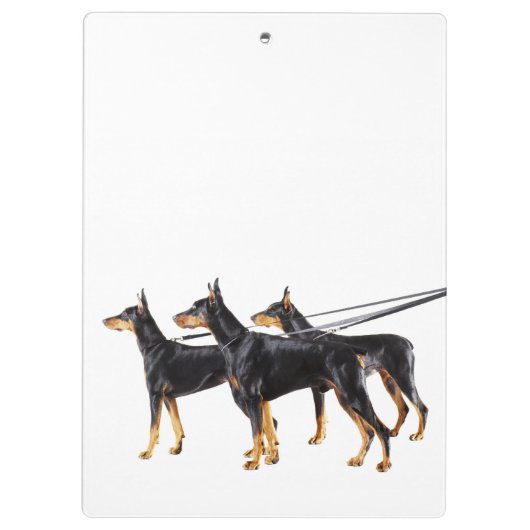 Drie Dobermans op de as Klembord (Achterkant)