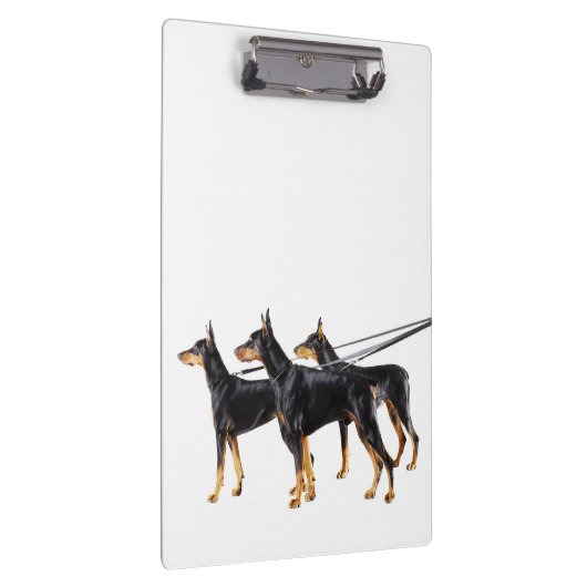 Drie Dobermans op de as Klembord (Rechts)