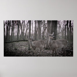 Drie doet op het Boerderij Poster