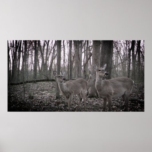 Drie doet op het Boerderij Poster (Voorkant)