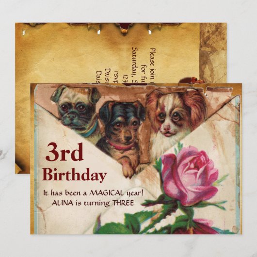 DRIE DOGGIEËN MET ROZEN, 3e zeedaags perkament Kaart (Voorkant / Achterkant)