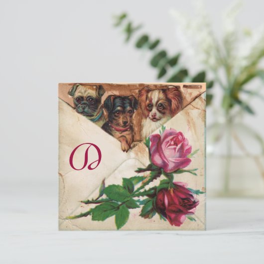 DRIE DOGGIEËN MET ROZEN KAART (Staand voorkant)