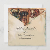 DRIE DOGGIEËN MET ROZEN KAART (Achterkant)