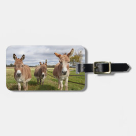 Drie Donkey's Bagagelabel
