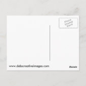 Drie Donkey's Briefkaart (Achterkant)