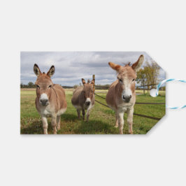 Drie Donkey's Cadeaulabel