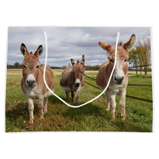 Drie Donkey's Large Cadeautasje (Voorkant)