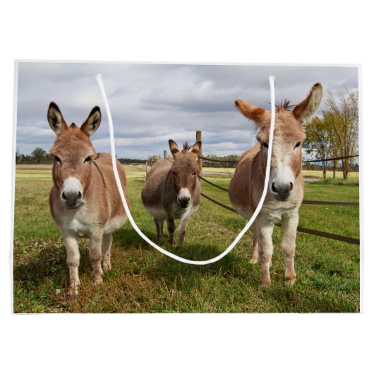 Drie Donkey's Large Cadeautasje (Achterkant)