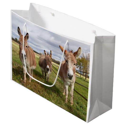 Drie Donkey's Large Cadeautasje (Voorkant Gekanteld)