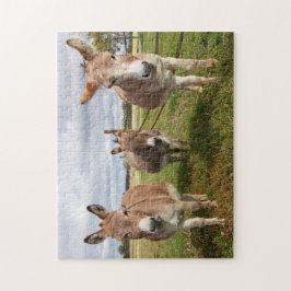 Drie Donkey's Legpuzzel