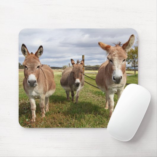 Drie Donkey's Muismat (Met muis)