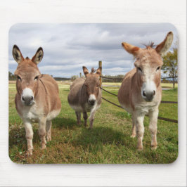 Drie Donkey's Muismat