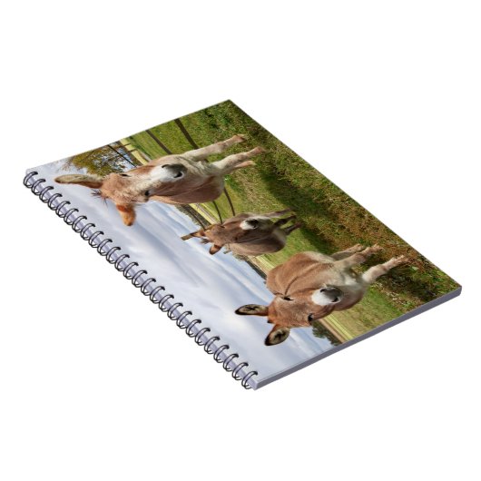 Drie Donkey's Notitieboek (Rechterzijde)