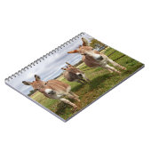 Drie Donkey's Notitieboek (Linkerzijde)