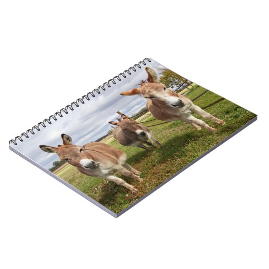 Drie Donkey's Notitieboek (Linkerzijde)