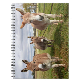 Drie Donkey's Notitieboek