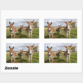 Drie Donkey's Rechthoekige Sticker (Vel)