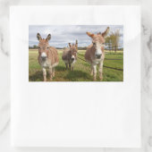 Drie Donkey's Rechthoekige Sticker (Tas)