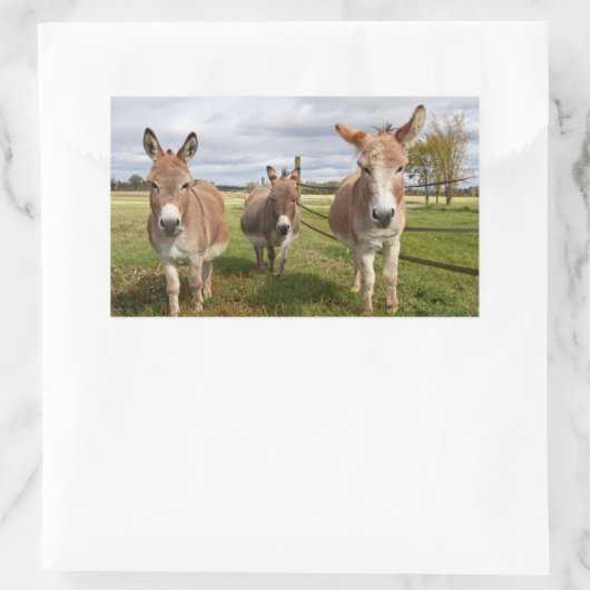 Drie Donkey's Rechthoekige Sticker (Tas)