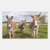 Drie Donkey's Rechthoekige Sticker (Voorkant)