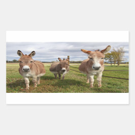 Drie Donkey's Rechthoekige Sticker