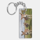 Drie Donkey's Sleutelhanger (Voorkant Links)