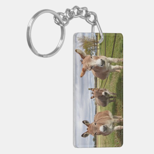 Drie Donkey's Sleutelhanger (Voorkant Links)