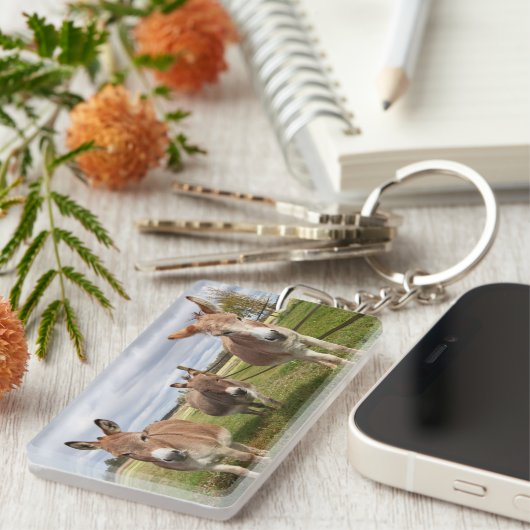 Drie Donkey's Sleutelhanger (Voorkant Rechts)