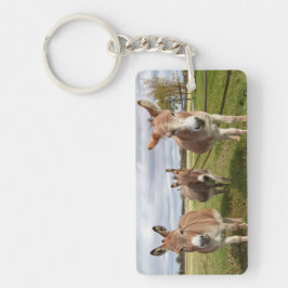 Drie Donkey's Sleutelhanger