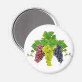 Drie druiven magneet (Voorkant / Achterkant)