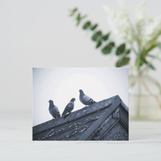 Drie duiven op een dak briefkaart (Staand voorkant)