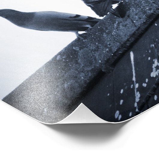 Drie duiven op een dak foto afdruk (Hoek)